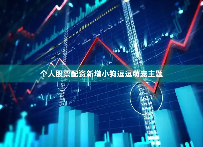 个人股票配资新增小狗逗逗萌宠主题