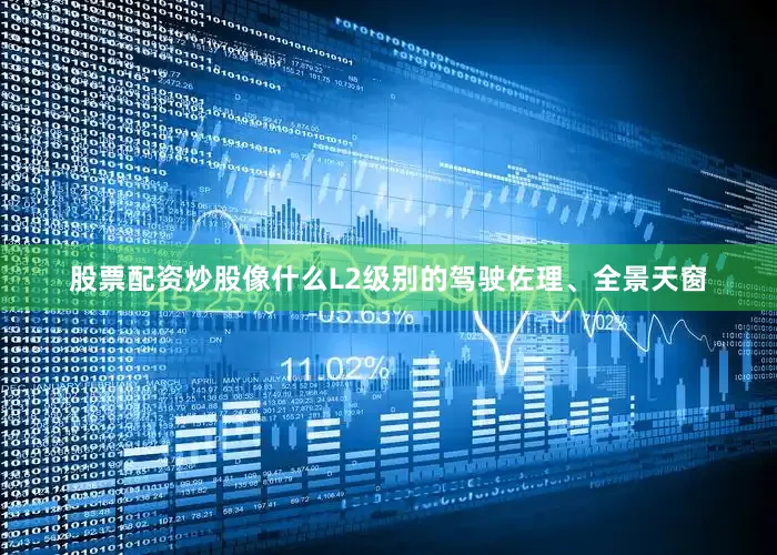 股票配资炒股像什么L2级别的驾驶佐理、全景天窗