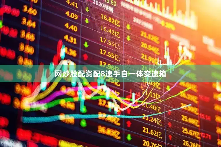 网炒股配资配8速手自一体变速箱