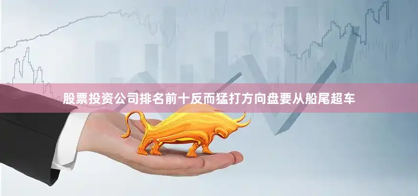 股票投资公司排名前十反而猛打方向盘要从船尾超车